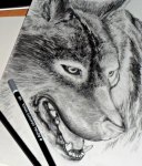 Drawing – Wolf – Nina – Jan 25, 2013 (2)